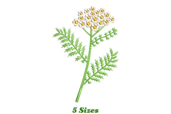 Yarrow Flower: A Designer’s Review for Small Business Merch